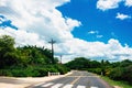 Nice asfalt road with palm trees against the blue Royalty Free Stock Photo