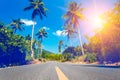 Nice asfalt road with palm trees Royalty Free Stock Photo