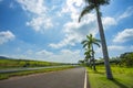 Nice asphalt road with palm trees against blue sky and cloud. Royalty Free Stock Photo