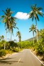 Nice asphalt road with palm trees