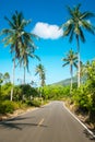 Nice asphalt road with palm trees Royalty Free Stock Photo