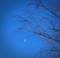 A nice autumn day with the sun shining and the moon in the sky.