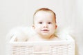 Nice baby in white basket