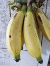 Nice Banana Great fruit