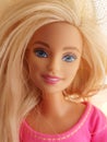 A nice barbie doll portrait looking at you Royalty Free Stock Photo