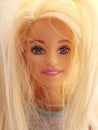 A nice barbie doll portrait looking at you