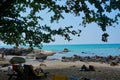 a lonely beach in the summer Royalty Free Stock Photo