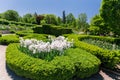 Nice beautiful view of botanical garden with white fluffy flowers, landscape