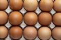 Nice big rural fresh eggs in cardboard egg box holder Royalty Free Stock Photo