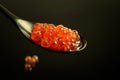 Nice black spoon with red caviar on the black background.healthy food concept