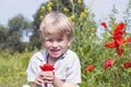 Nice blond boy with a red poppy in his hand. Royalty Free Stock Photo