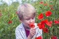 Nice blond boy with a red poppy in his hand. Royalty Free Stock Photo