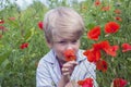 Nice blond boy with a red poppy in his hand. Royalty Free Stock Photo