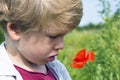 Nice blond boy with a red poppy in his hand. Royalty Free Stock Photo