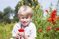 Nice blond boy with a red poppy in his hand. Royalty Free Stock Photo