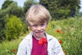 Nice blond boy with a red poppy in his hand. Royalty Free Stock Photo