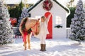 Nice blonde curly child and adorable pony with festive wreath near the small wooden house and snow-covered trees. New Year and Chr Royalty Free Stock Photo