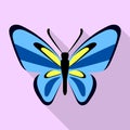 Nice blue butterfly icon, flat style Royalty Free Stock Photo