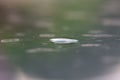 Nice blue effect of light on water drops on a polycarbonate table Royalty Free Stock Photo