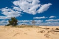 Nice blue sky in the Dunes in park The Hoge Veluwe. Royalty Free Stock Photo