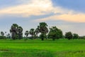 Nice Blue Sky Glows over Green Field Royalty Free Stock Photo