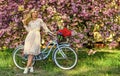 Nice bouquet. lady walk in park. pink cherry tree blossom. girl carry flower in retro bicycle. spring beautiful woman in Royalty Free Stock Photo
