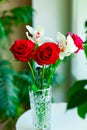 Nice bouquet from red roses and white orchids in vase  on white background Royalty Free Stock Photo