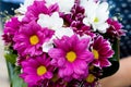 Nice bouquet of white and purple flowers in woman hand