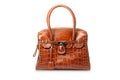 Nice brown crocodile leather woman handbag Royalty Free Stock Photo