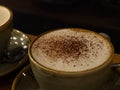 A nice Cappuccino cup with cocoa topping