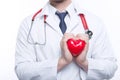 Nice cardiologist holding heart Royalty Free Stock Photo