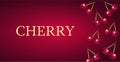 Nice Cherry Red Fruits Vector Background Illustration Banner Design