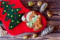 Nice christmas honey ginferbread in shape of bear in red hat laying on holiday sock on brown wooden background