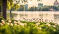 Nice city park by the lake Royalty Free Stock Photo