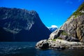 Nice close-up of the sea lions in Milford Sound with the snow capped mountains in the background taken on a sunny spring day, New Royalty Free Stock Photo