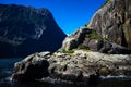 Nice close-up of the sea lions in Milford Sound with the snow capped mountains in the background taken on a sunny spring day, New Royalty Free Stock Photo