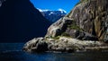 Nice close-up of the sea lions in Milford Sound with the snow capped mountains in the background taken on a sunny spring day, New Royalty Free Stock Photo