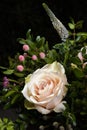 Nice closeup bouquet with cream rose