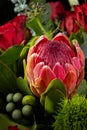 Nice closeup bouquet with giant protea