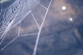 Nice colored cobweb Royalty Free Stock Photo