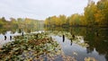 Autumn morning on the lake