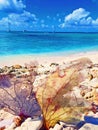 White sandy beaches on St Maarten Royalty Free Stock Photo