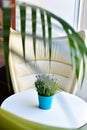 Nice corner to read from a house with natural lighting from a window