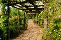 Nice corridor formed by beautiful wooden arches decorated with flowers in a garden