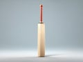 a nice cricket bat, 3d render cricket bat, wooden made bat for cricket game.