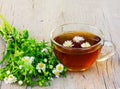 A nice cup of tea with camomile flowers Royalty Free Stock Photo