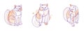 Nice cute cat linear vector illustrations set, line art drawings of pussycat relaxing, artistic outline minimal sketch of fat and