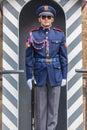 Nice czech soldier in gala dress