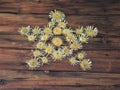 Nice decoration on a wooden door - pentagonal star of dried silver thistles