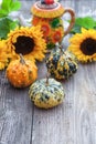 A nice decorative pumpkins on rustic background